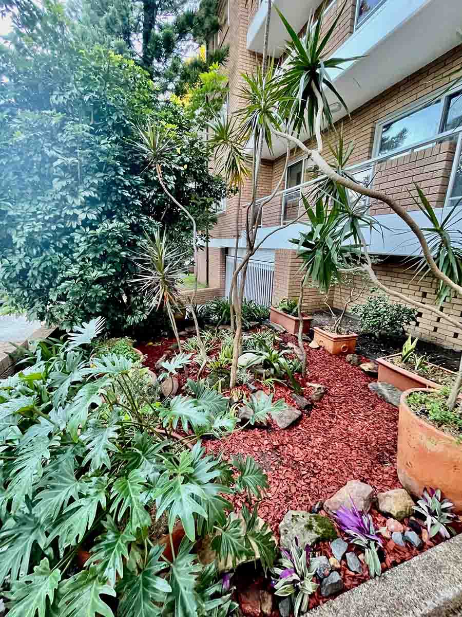Improved garden landscaping outside Bondi strata apartments
